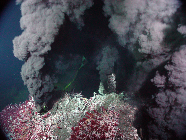 [图片说明]：海底的热液喷口被认为是地球上生命的发源地。